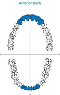4403065856407_03.gif