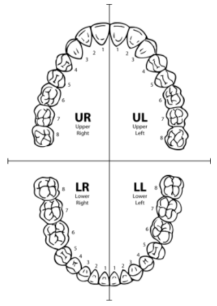 4403065856407_45.gif